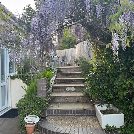 Rosemary House Brs Airport Accommodation 윈퍼드 외부 사진